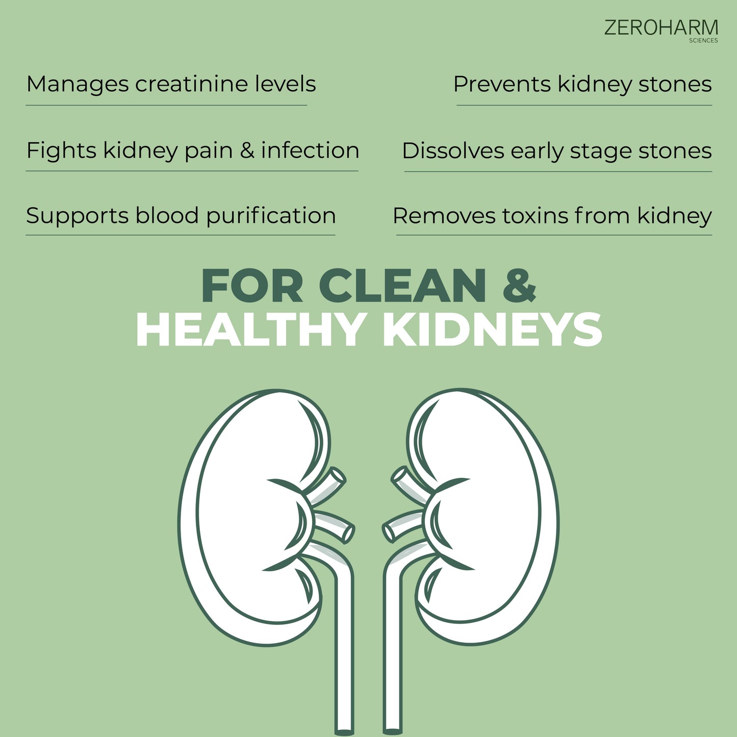 kidney detox tablets benefits