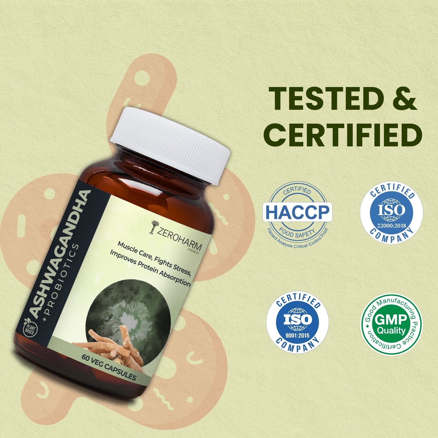 ZeroHarm Ashwagandha + Probiotics capsules bottle showing HACCP, ISO, and GMP certifications, formulated to improve protein absorption, reduce stress, and support muscle recovery and gut health.