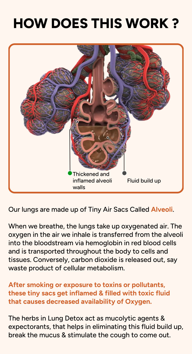 Process of Lung Cleansing for Smokers by Zeroharm Holo Lung Detox Tablets