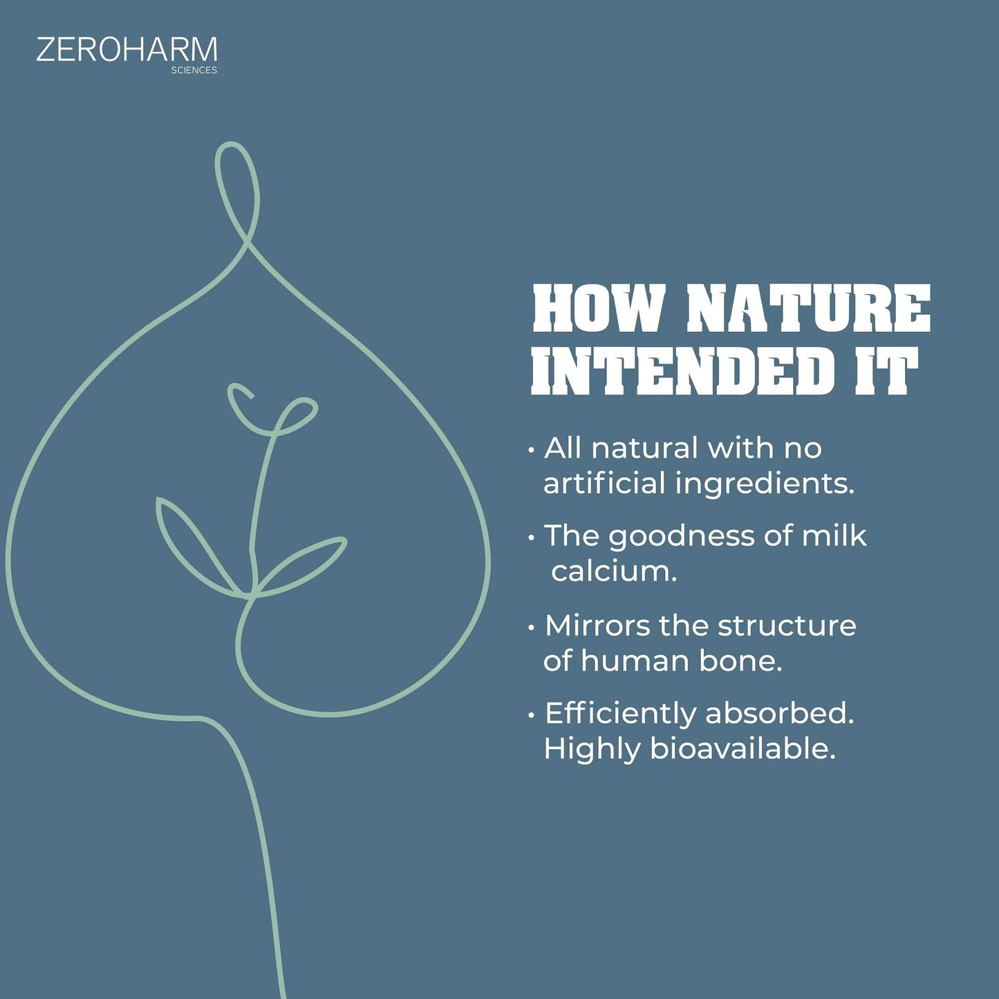 A minimalist graphic with a leaf illustration and text explaining how natural, milk-based calcium is efficiently absorbed and designed to mirror human bone structure.