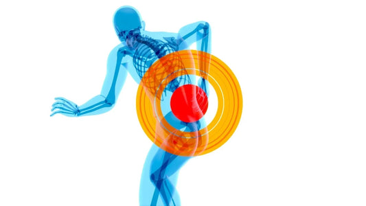 An image of a digital human figure with highlighted areas showing chronic inflammation in the lower back, depicted with concentric circles and a red focus point.