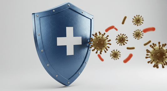 An image of a blue shield with a white cross, blocking various virus particles, symbolizing immune defense.