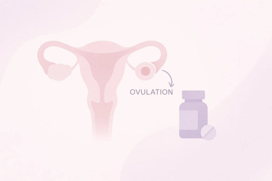 An illustration of the female reproductive system with an ovary, a highlighted egg, and a bottle of ovulation tablets connected by an arrow labeled 'OVULATION'.