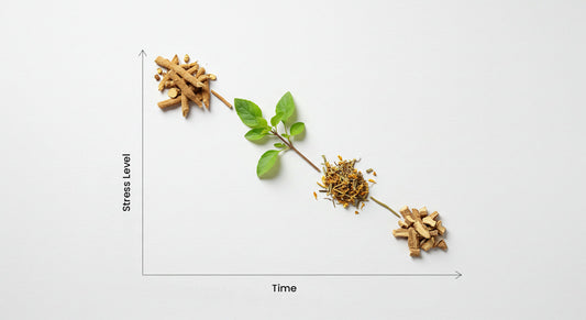 An image showing a timeline of stress levels over time, represented by different stages of a plant: dried roots, a small green plant, and dried herbs, illustrating a natural progression or change.