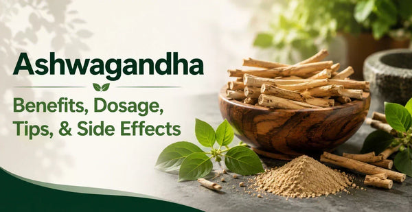 Ashwagandha roots, powder, and fresh leaves on display - covering benefits, dosage, tips, and side effects of the herb.