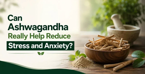 Ashwagandha roots and powder in a wooden bowl with mortar and pestle, exploring whether it really helps reduce stress and anxiety.