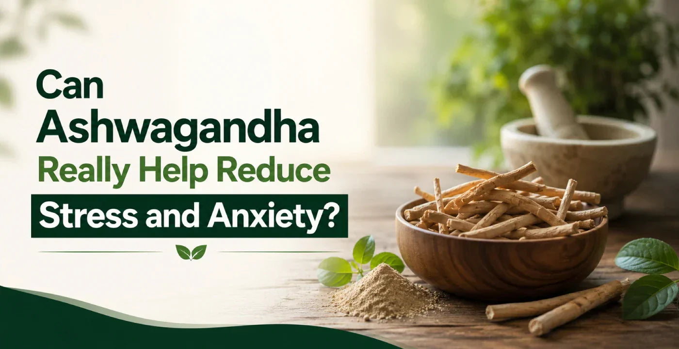 Stress & Anxiety Relief: Why Ashwagandha is the Best Natural Choice
