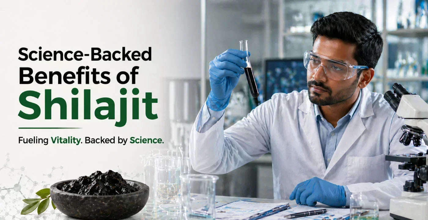 Shilajit Benefits: A Scientific Review of This Ayurvedic Resin