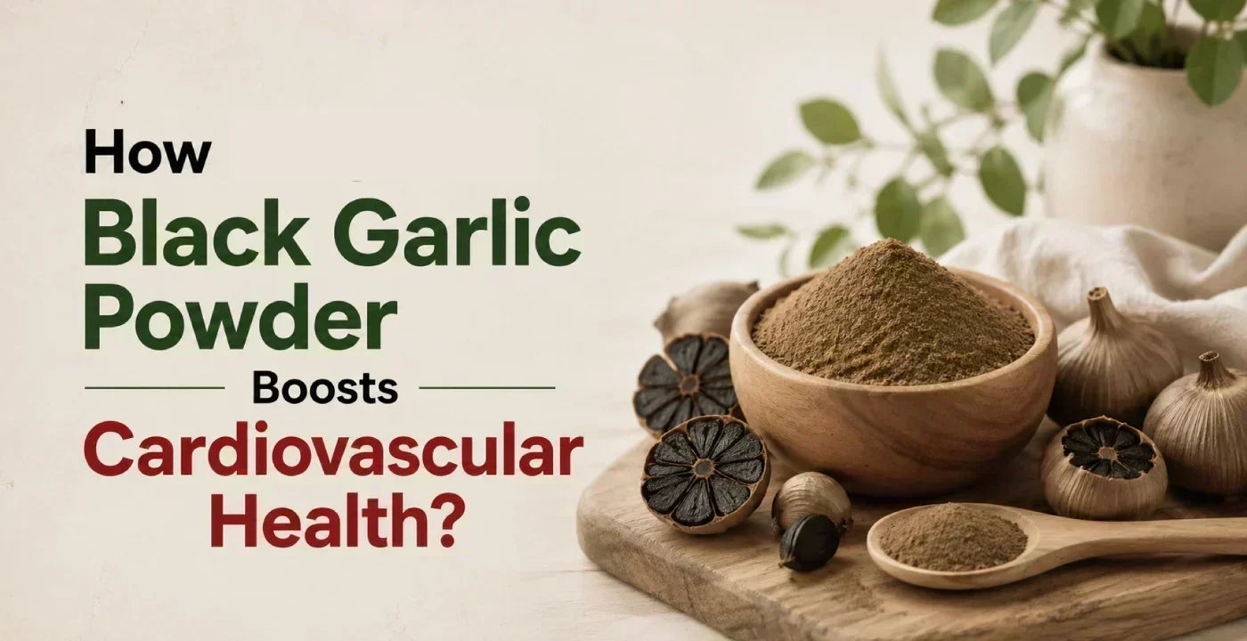 How Black Garlic Powder Boosts Cardiovascular Health?
