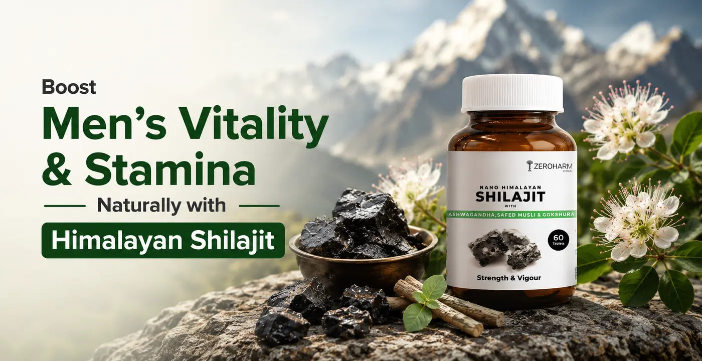 How Himalayan Shilajit Boosts Men’s Vitality and Stamina
