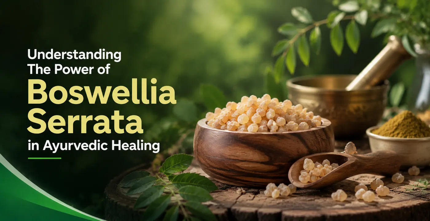 Boswellia Serrata  For Gut Health: Facts, Benefits, Dosage, & Side Effects