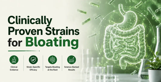 Glowing digestive system illustration with probiotic bacteria and lab flasks showing clinically proven strains for bloating relief