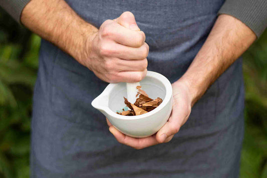 A person holding a white mortar and pestle, grinding dried herbs or spices, wearing a gray apron, with greenery in the background.