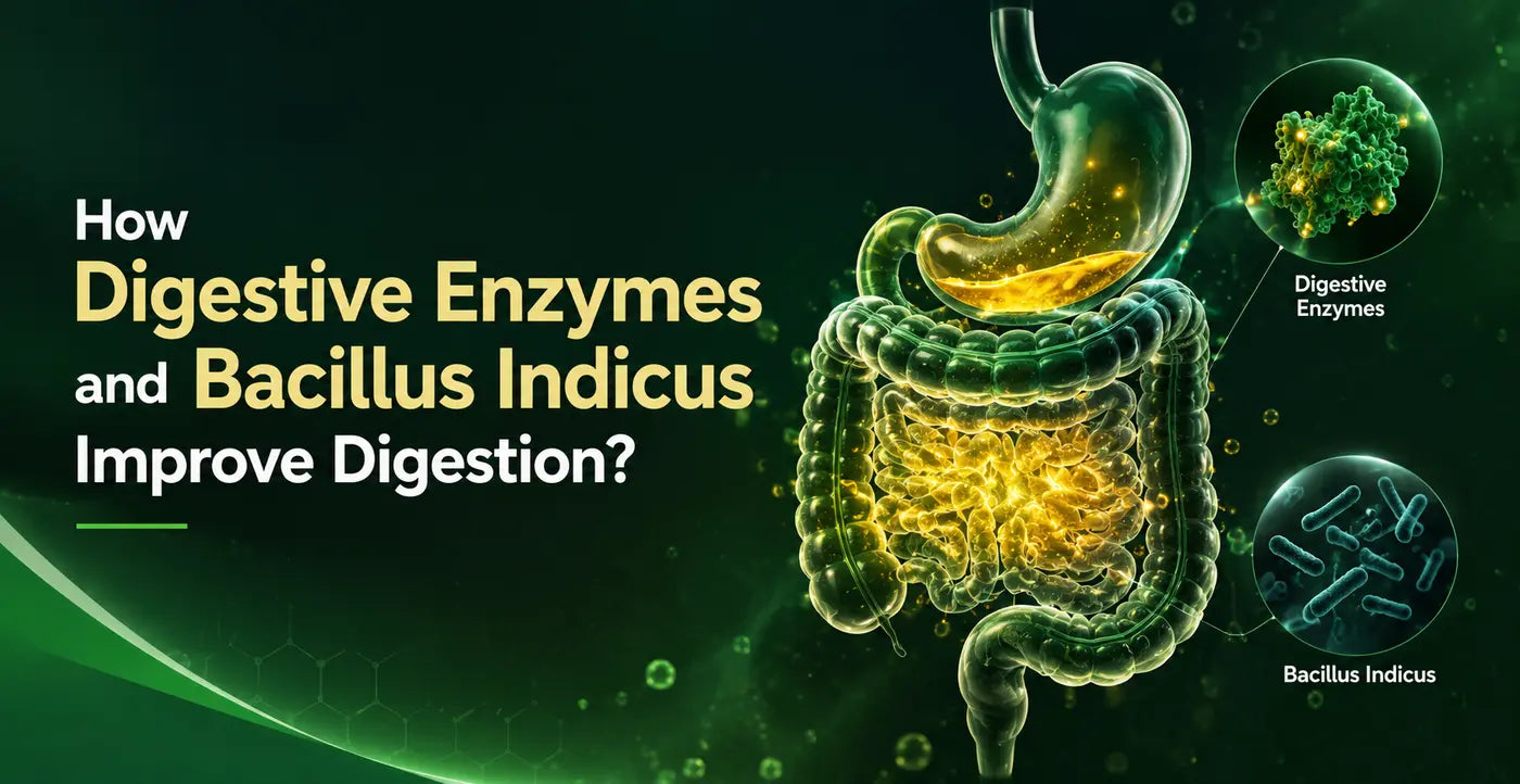 How Digestive Enzymes and Bacillus Indicus Improve Digestion Naturally