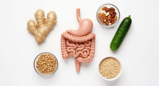 An illustration of the digestive system surrounded by various gut-friendly foods like ginger, cucumber, almonds, soybeans, and rice.