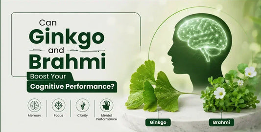 Glowing brain illustration with Ginkgo Biloba leaves and Brahmi plant showing how they boost memory focus and cognitive performance