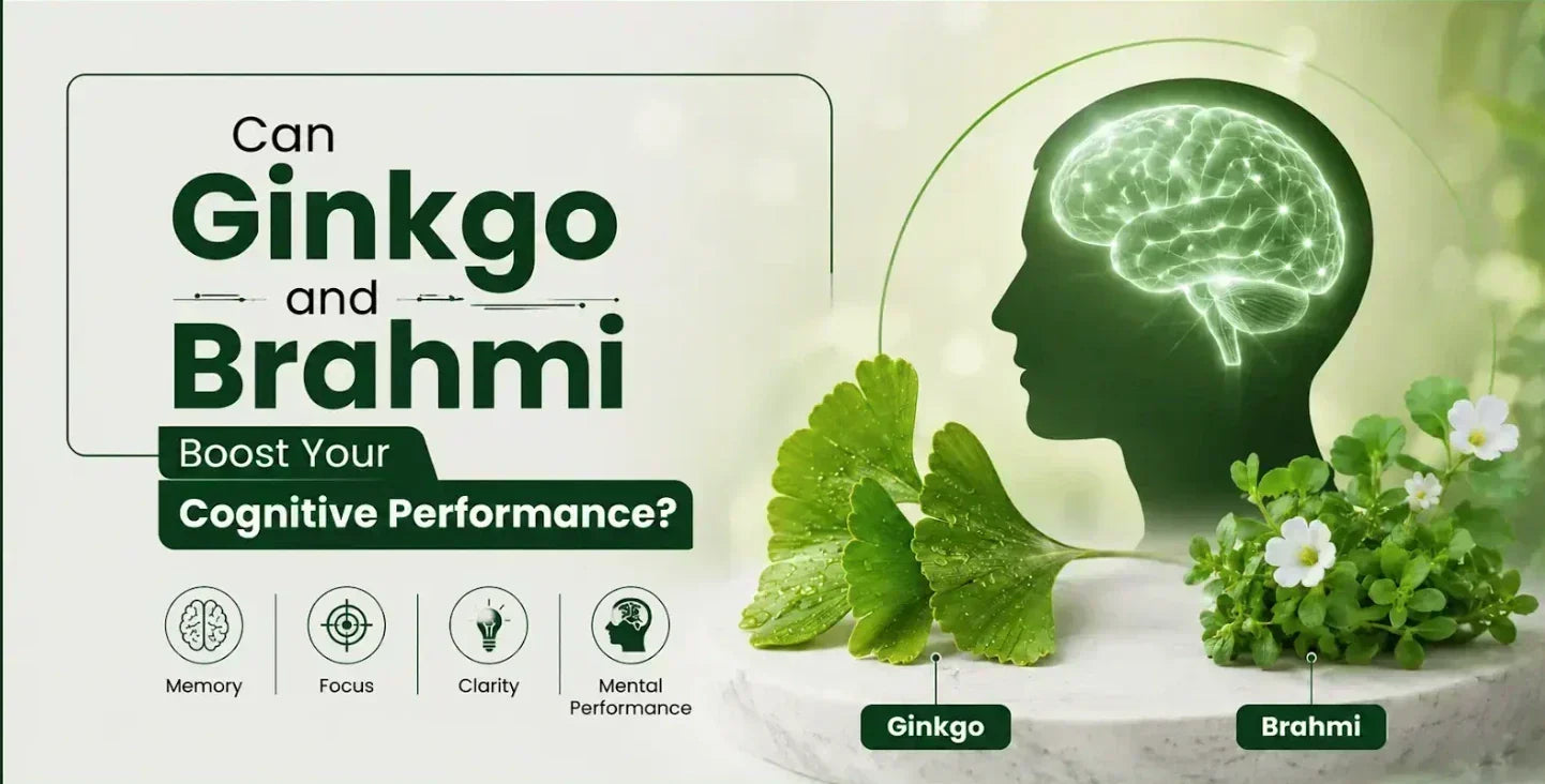 How Ginkgo and Brahmi Can Support Your Cognitive Performance