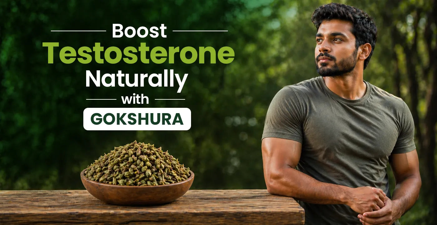 Gokshura: The Herbal Testosterone Booster in Ayurvedic Medicine