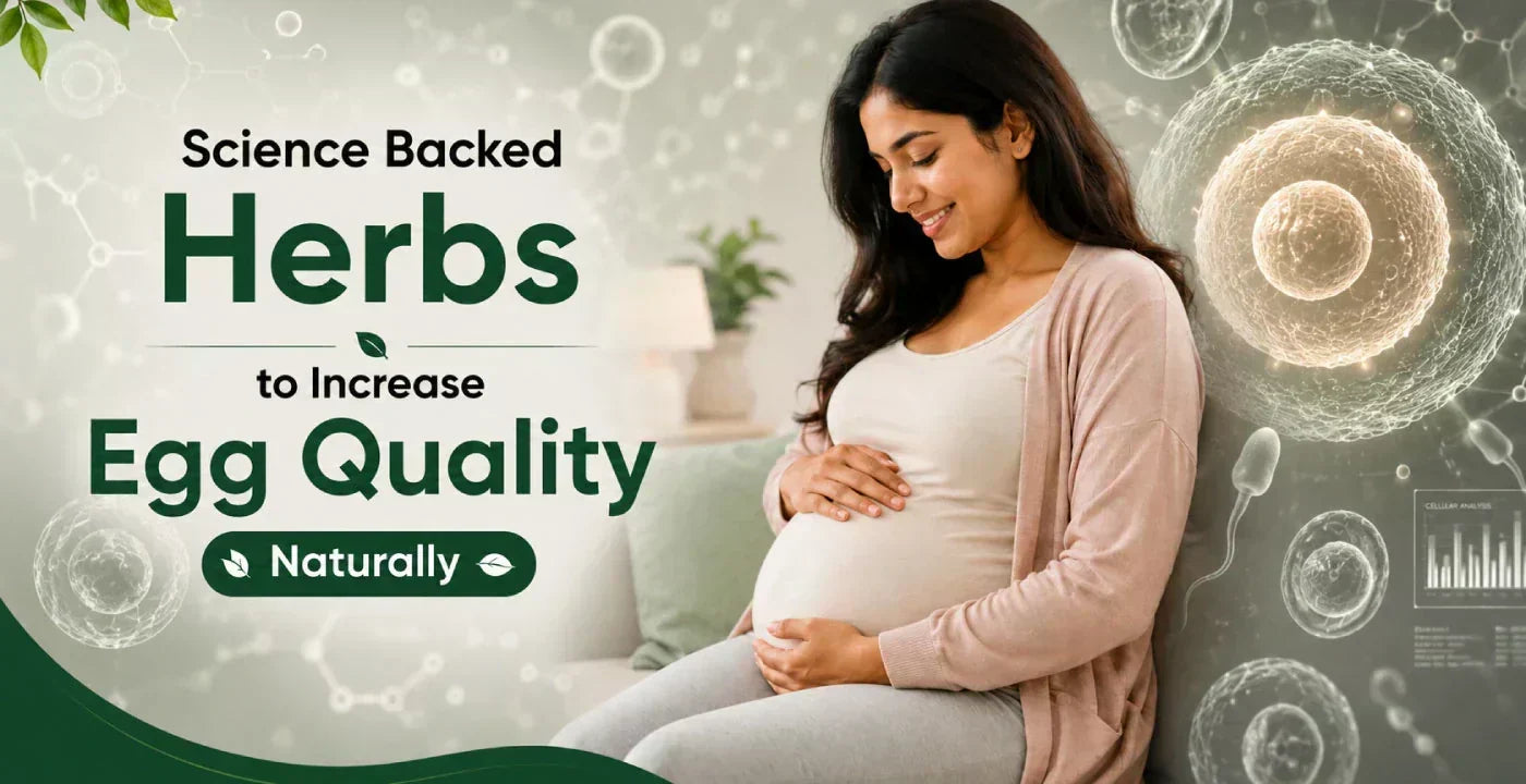 Science Backed Herbs to Increase Egg Quality Naturally