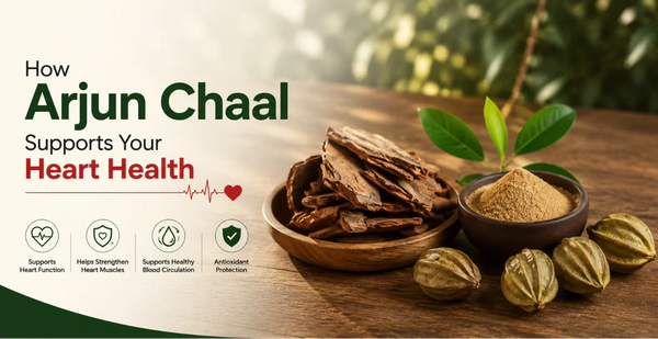 Arjun Chaal bark pieces and powder with green fruits - natural support for heart health, muscles, and blood circulation.