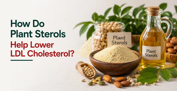 Plant sterols powder, oil, and soybeans with labels - how plant sterols help lower LDL cholesterol naturally.