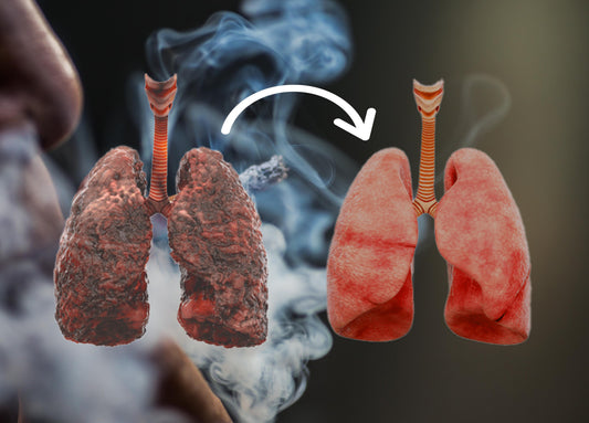 How to Clean Your Lungs After Smoking? Proven Detox Methods for Faster Relief - Zeroharm