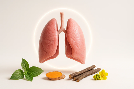 A 3D illustration of human lungs surrounded by a light circle, accompanied by turmeric, herbs, and sticks on a neutral background, illustrating concepts related to Lung Health & Cleanse.