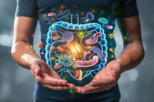 A person holding a glowing digital illustration of a human gut, surrounded by various microorganisms, symbolizing gut health and the role of probiotics.