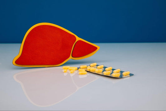 A model of a human liver in red and yellow next to yellow Milk Thistle Tablets for Liver Health on a reflective surface, with a blue background.