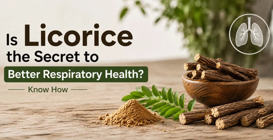 Licorice roots in wooden bowl with powder and lung icon showing how licorice root is the secret to better respiratory health