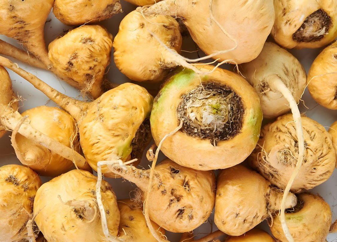 Maca Root for Men: Libido, Energy & Fertility Backed by Science