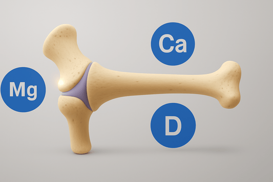 An illustration of a bone with labels for magnesium (Mg), calcium (Ca), and vitamin D (D), highlighting their importance for bone health.