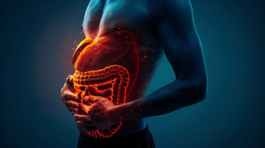 A person holding their abdomen, with a visual representation of the digestive system glowing in an orange hue over the torso. The background is a gradient of blue.