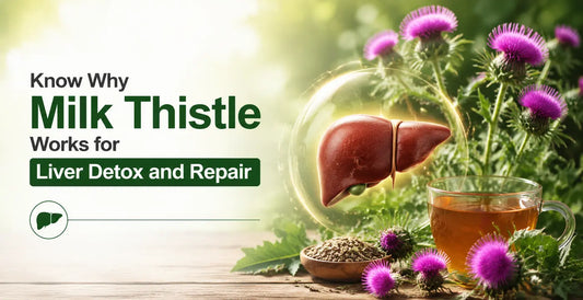 Milk thistle banner showing liver graphic, herbal tea, and milk thistle flowers highlighting liver detox and repair support.