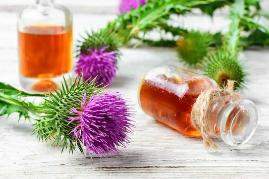 Milk Thistle for Fatty Liver: Benefits, Dosage & What Research Says