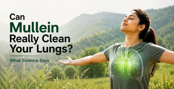 Woman breathing freely outdoors with glowing lung illustration on chest exploring if Mullein can really clean your lungs
