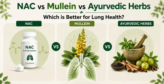 Comparison infographic of NAC supplement, Mullein plant with lung illustration and Ayurvedic herbs in mortar for better lung health