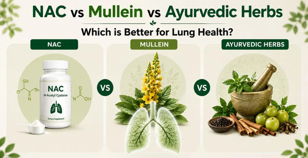 Comparison infographic of NAC supplement, Mullein plant with lung illustration and Ayurvedic herbs in mortar for better lung health