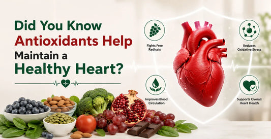 Heart anatomy model with antioxidant-rich foods like blueberries pomegranate broccoli and nuts showing benefits for a healthy heart