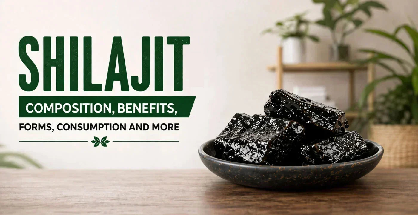 Discover Shilajit: Composition, Forms, Consumption and More