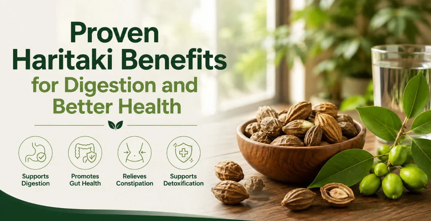 12 Proven Haritaki Benefits for Better Digestion: An Ayurvedic Remedy