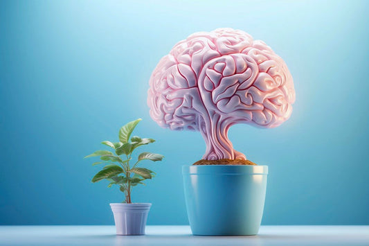 A stylized pink brain sculpture resembling a plant, positioned in a light blue pot, next to a smaller potted green plant on a clean surface. The background is in soft blue tones, emphasizing brain health.