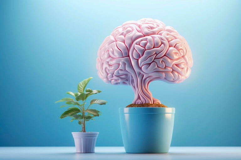 Boost Your Brain Health: Best Vitamins and Supplements for Mental Clarity and Productivity