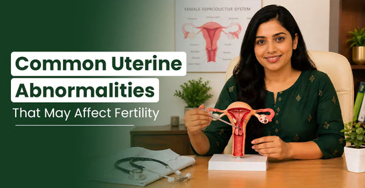 Gynecologist explaining uterine abnormalities affecting fertility using a uterus model in a medical clinic.