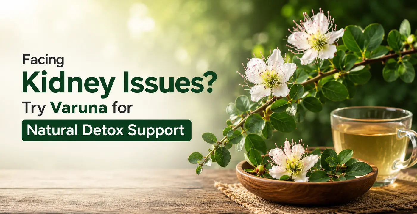 Varuna and Kidney Detox: Your Guide to Urinary Health