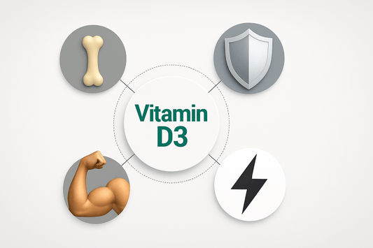 An illustration showing the benefits of Vitamin D3, with icons representing strong bones, immune protection, muscle strength, and energy.