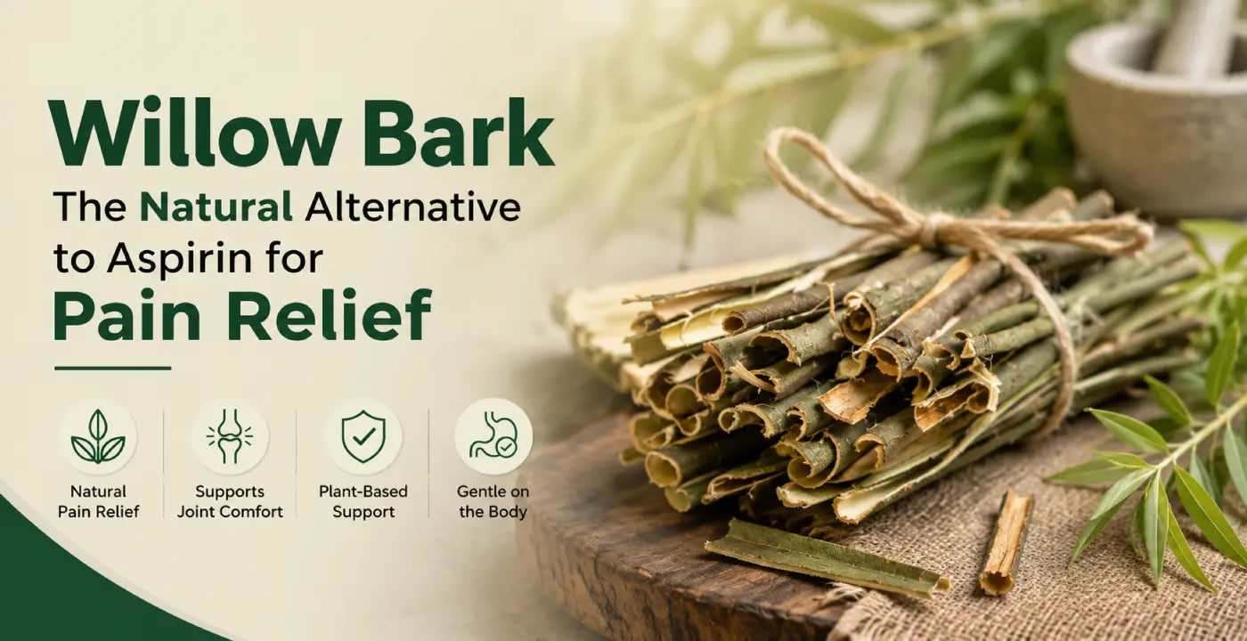 Willow Bark: Nature's Aspirin for Effective Pain Management