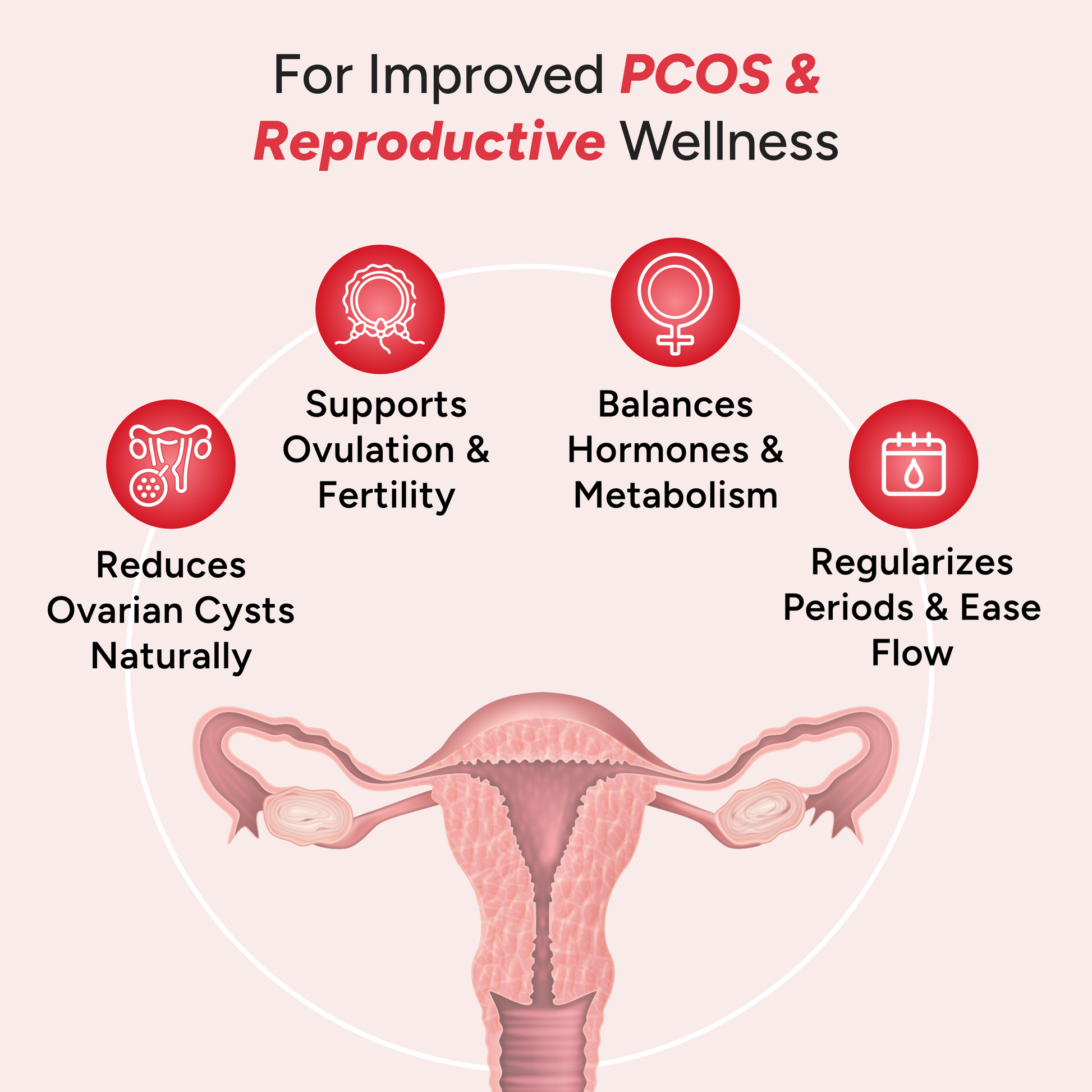 Illustration explaining PCOS and reproductive wellness benefits, showing a uterus diagram with icons highlighting reduced ovarian cysts, support for ovulation and fertility, balanced hormones and metabolism, and regularized menstrual cycles.