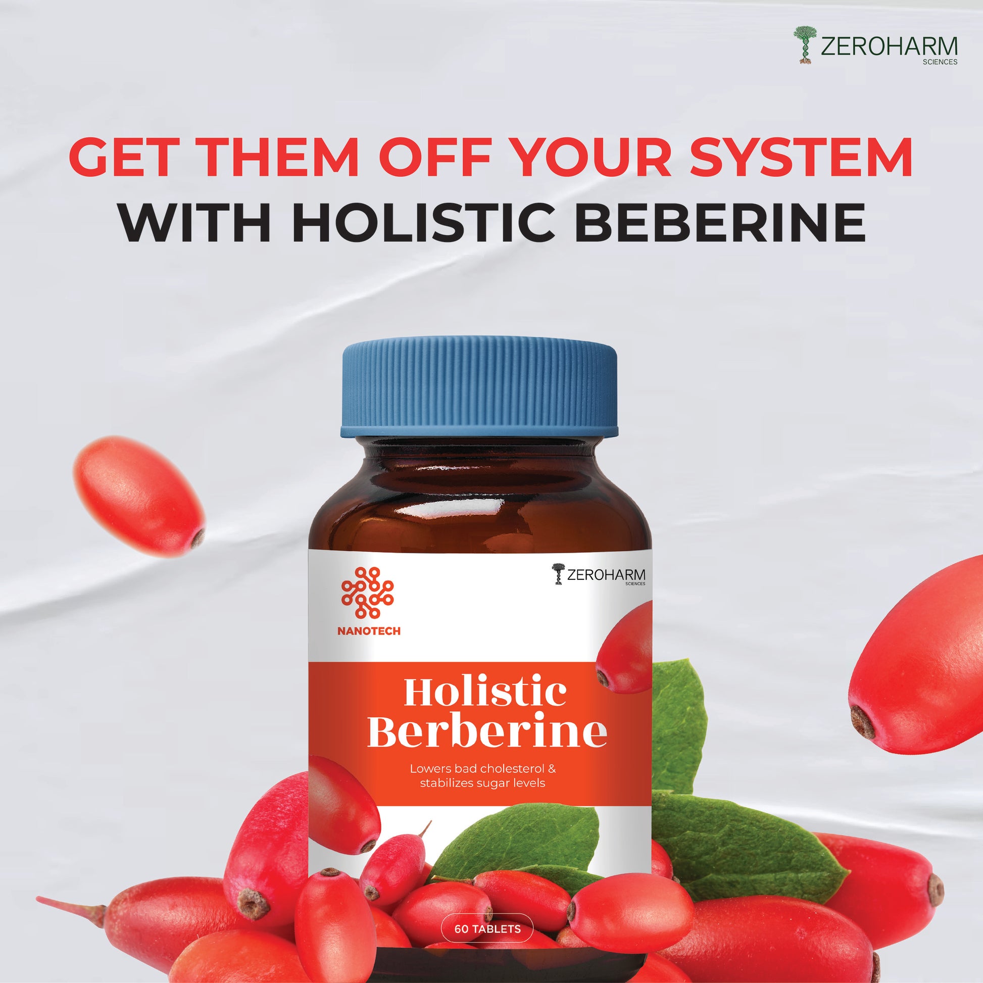 best berberine supplements with holistic approach