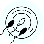 Sperm Quality  & motility